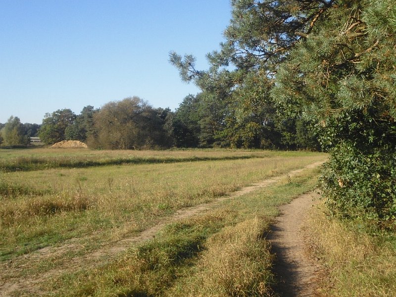 CTF Allertal Strecke 2011 004